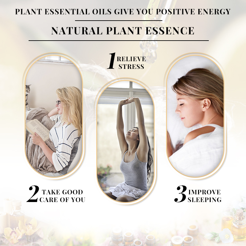 EVOKE Huile essentielle parfum - Perfume Fragrance Enhancer avis et prix