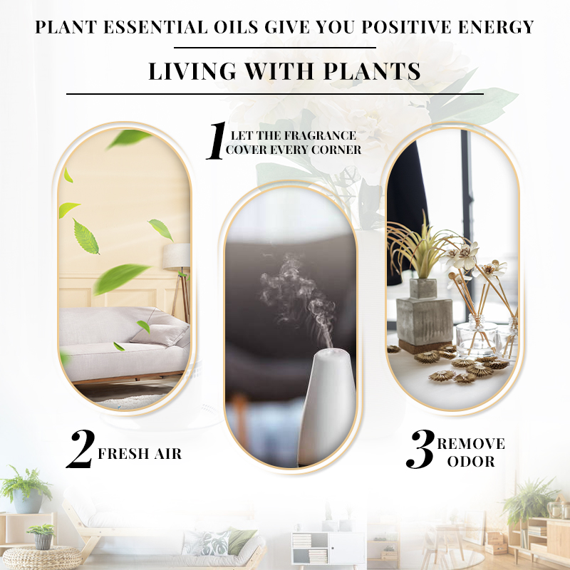 EVOKE Huile essentielle parfum - Perfume Fragrance Enhancer avis et prix